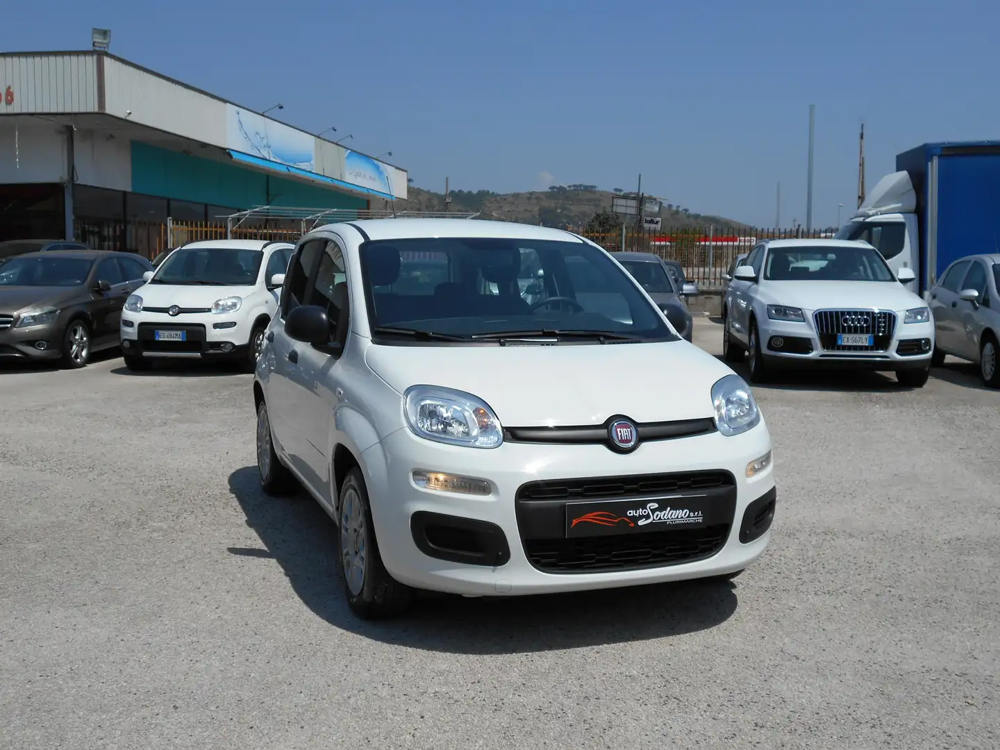 Fiat Panda Panda 1.2 Easy s Bianco - 1