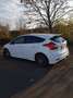 Ford Focus 2.0 TDCi DPF Titanium - thumbnail 6