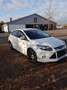 Ford Focus 2.0 TDCi DPF Titanium - thumbnail 1