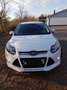 Ford Focus 2.0 TDCi DPF Titanium - thumbnail 11