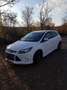 Ford Focus 2.0 TDCi DPF Titanium - thumbnail 9