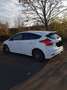 Ford Focus 2.0 TDCi DPF Titanium - thumbnail 18