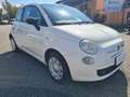 Fiat 500 1.2 Pop 69cv *NEOPATENTATI* Bianco - thumbnail 4