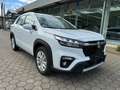 Suzuki SX4 S-Cross Comfort Kamera LED Білий - thumbnail 3