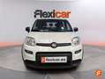 Fiat Panda 1.0 Hybrid 51kW (70cv) Blanco - thumbnail 2