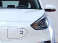 Kia Niro ENIRO DRIVE 100KW 5P Blanco - thumbnail 13