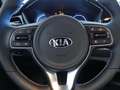Kia Niro ENIRO DRIVE 100KW 5P Blanco - thumbnail 19