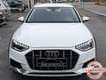 Audi A4 allroad 40 TDI 204Cv S-Tronic quattro 2.0 4x4 Bianco - thumbnail 4