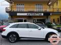 Audi A4 allroad 40 TDI 204Cv S-Tronic quattro 2.0 4x4 Bianco - thumbnail 7