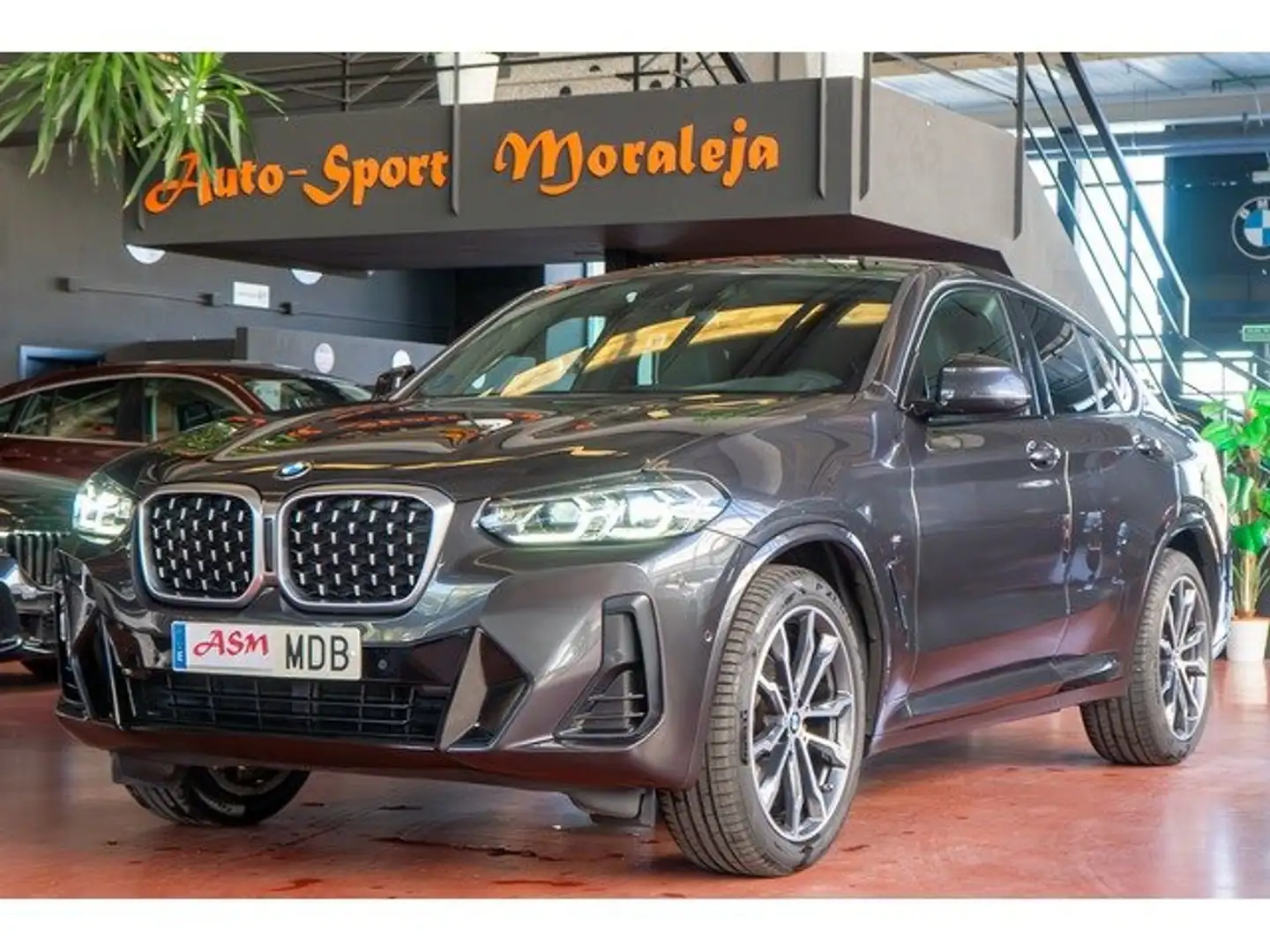 BMW X4 xDrive 20dA xLine Gris - 1