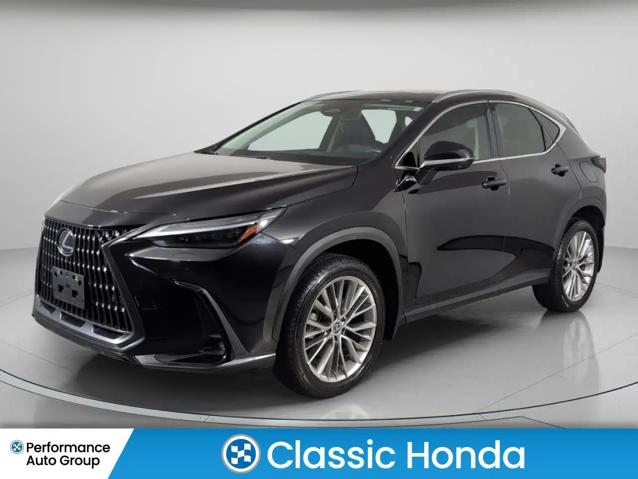 2024 Lexus NX