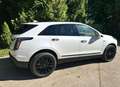 Cadillac XT5 3.6 Platinum V-Line, KEIN Import, deutsche EZ Weiß - thumbnail 8