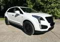 Cadillac XT5 3.6 Platinum V-Line, KEIN Import, deutsche EZ Weiß - thumbnail 5