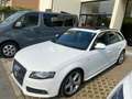 Audi A4 A4 Avant 2.0 tdi S-line *TETTO APRIBILE* Bianco - thumbnail 4