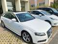 Audi A4 A4 Avant 2.0 tdi S-line *TETTO APRIBILE* Bianco - thumbnail 2