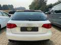 Audi A4 A4 Avant 2.0 tdi S-line *TETTO APRIBILE* Bianco - thumbnail 6