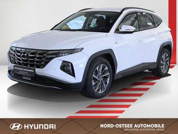 1.6 T-GDI TREND 4WD SHZ LHZ NAVI LED PDC