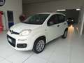 Fiat Panda Panda 2016 0.9 t.air t. natural power Lounge 70cv Weiß - thumbnail 2