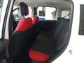 Fiat Panda Panda 2016 0.9 t.air t. natural power Lounge 70cv Weiß - thumbnail 7