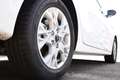 Kia Ceed / cee'd 1.5 T-GDI DCT7 OPF Vision Weiß - thumbnail 6
