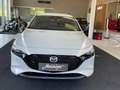 Mazda 3 Mazda3 e-Skyactiv-G140 Nagisa Grau - thumbnail 2