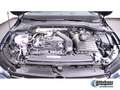 Volkswagen Golf VIII Variant 1.5 TSI Life AHK ACC LED Blau - thumbnail 7