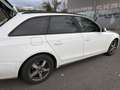 Audi A4 Avant 1,8 TFSI Jubiläumsmodell Weiß - thumbnail 5