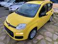 Fiat Panda Pandina PREZZO REALE SENZA OBBLIGHI FINANZIARI Gelb - thumbnail 9