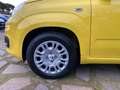 Fiat Panda Pandina PREZZO REALE SENZA OBBLIGHI FINANZIARI Gelb - thumbnail 10