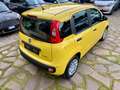 Fiat Panda Pandina PREZZO REALE SENZA OBBLIGHI FINANZIARI Gelb - thumbnail 5