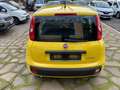 Fiat Panda Pandina PREZZO REALE SENZA OBBLIGHI FINANZIARI Gelb - thumbnail 6