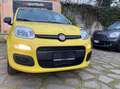 Fiat Panda Pandina PREZZO REALE SENZA OBBLIGHI FINANZIARI Gelb - thumbnail 1