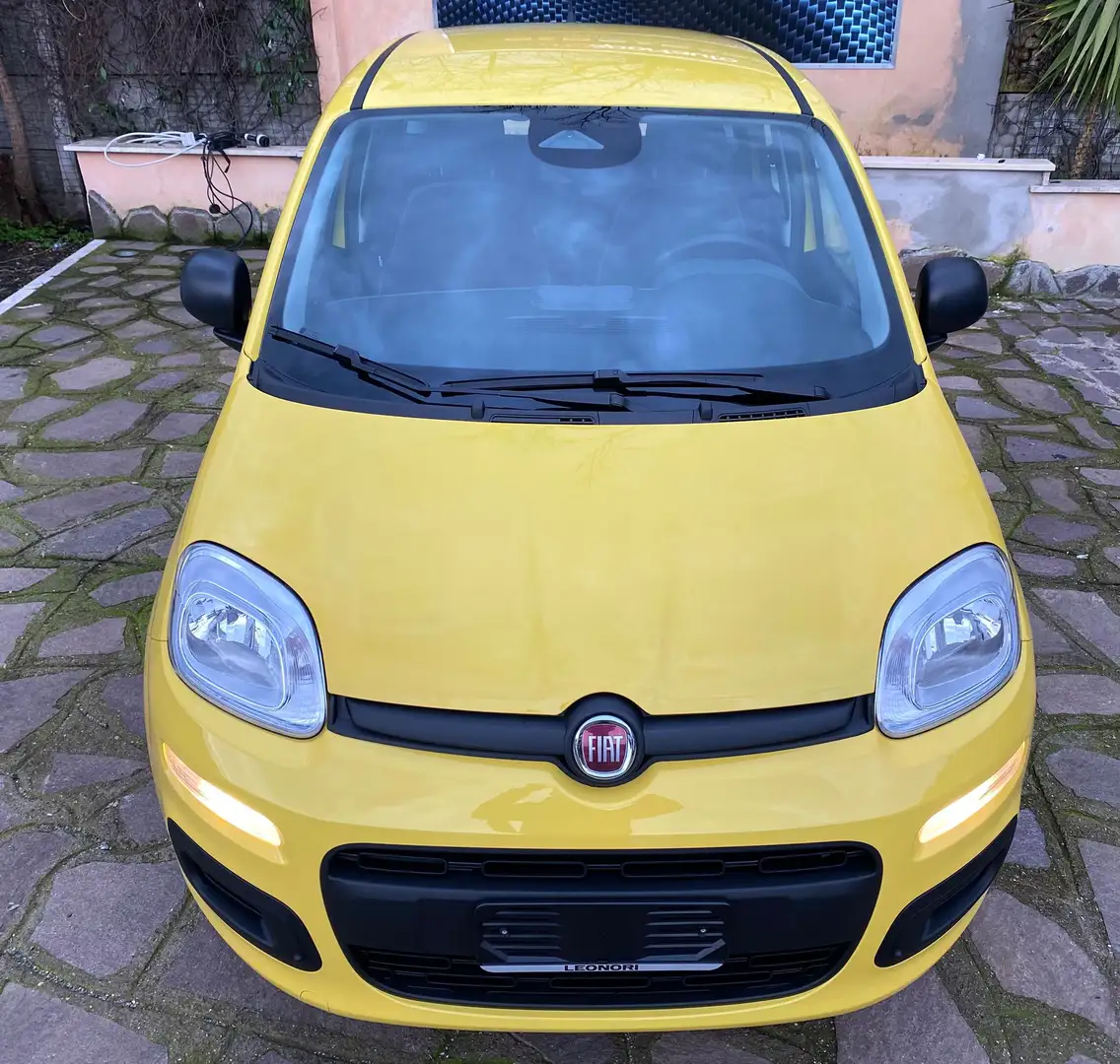 Fiat Panda Pandina PREZZO REALE SENZA OBBLIGHI FINANZIARI Gelb - 2