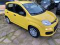 Fiat Panda Pandina PREZZO REALE SENZA OBBLIGHI FINANZIARI Gelb - thumbnail 8