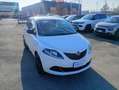 Lancia Ypsilon 1.0 firefly hybrid Silver s&s 70 CV Blanc - thumbnail 3