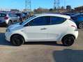 Lancia Ypsilon 1.0 firefly hybrid Silver s&s 70 CV Blanc - thumbnail 5