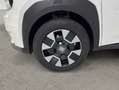 Fiat Grande Panda 1.2 MHEV DCT ICON 110 5P Blanco - thumbnail 14