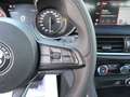 Alfa Romeo Stelvio 2.2 t Business Q4 190cv auto Nero - thumbnail 18