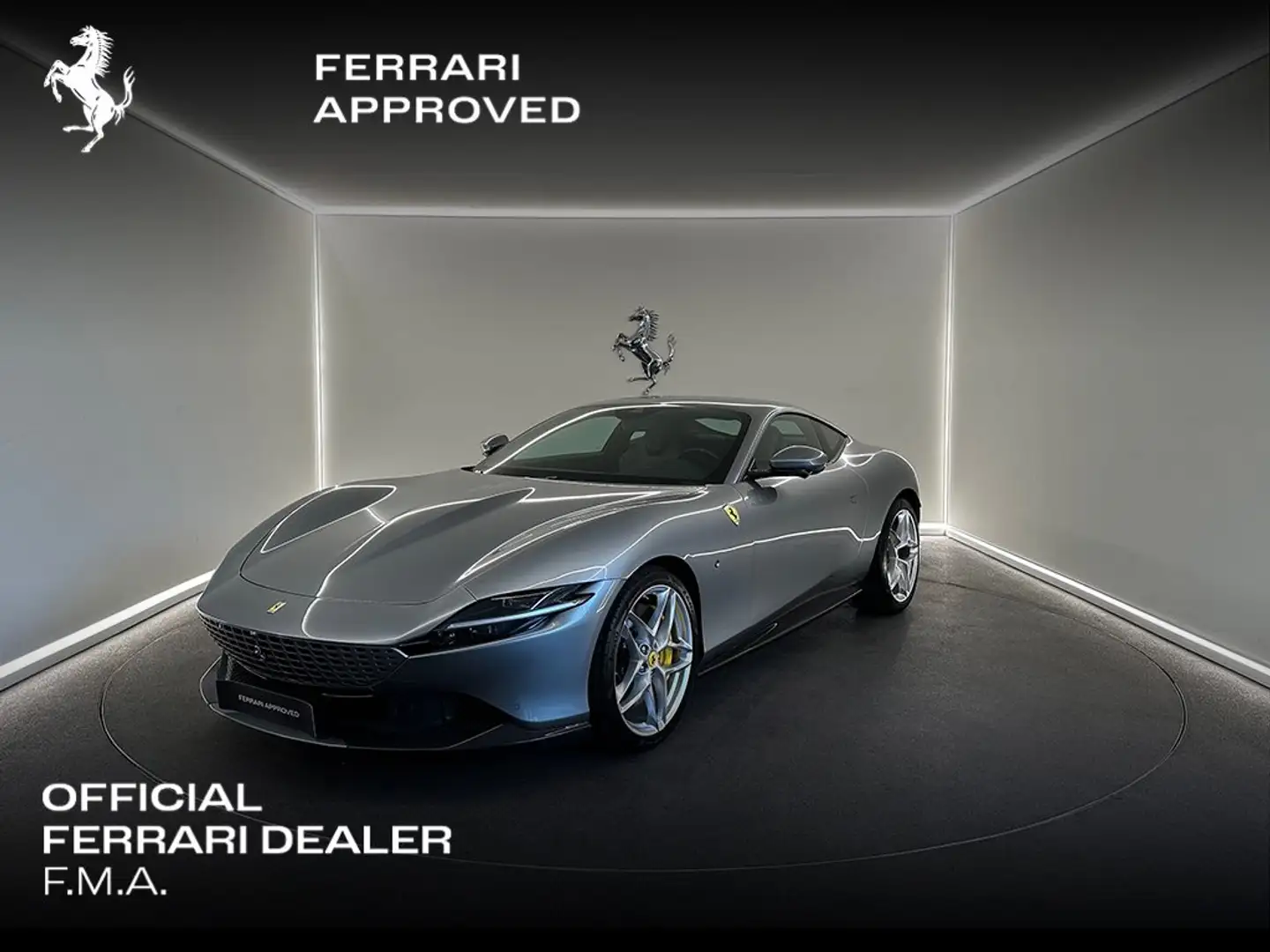 Ferrari Roma Grigio Titanio / Full Carbon / 2Y Ferrari Approved Zilver - 1