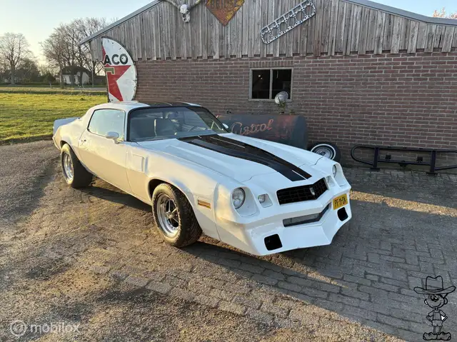 Chevrolet Camaro USA 5.0 Coupé v8