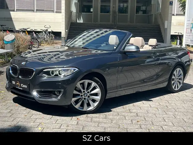 BMW 228 i Cabrio Luxury Line LEDER NAVI SPUR PDC