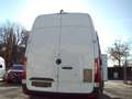 Mercedes-Benz Sprinter 316 CDI MAXI FRIGO CARRIER-29 MOTOR PROBLEEM!!!!!! Blanc - thumbnail 5