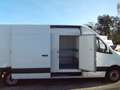 Mercedes-Benz Sprinter 316 CDI MAXI FRIGO CARRIER-29 MOTOR PROBLEEM!!!!!! Blanc - thumbnail 4