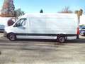 Mercedes-Benz Sprinter 316 CDI MAXI FRIGO CARRIER-29 MOTOR PROBLEEM!!!!!! Blanc - thumbnail 1