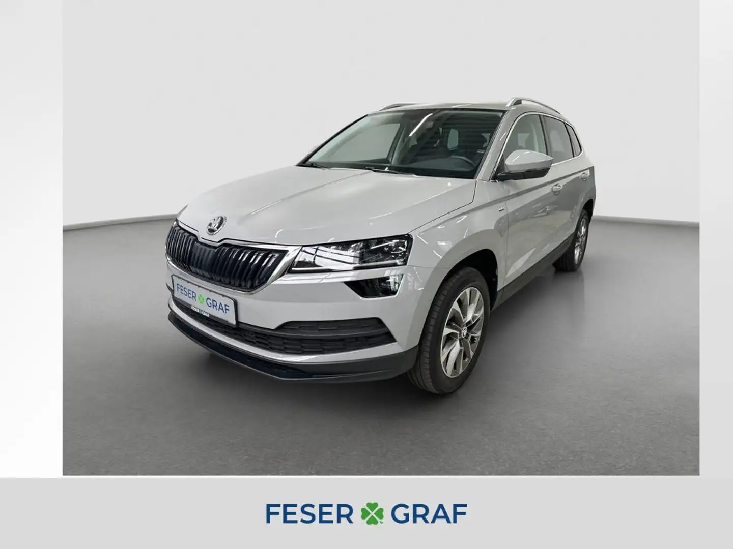 Skoda Karoq TSi DSG CLEVER LED Navi Kamera Winterpaket Grigio - 1