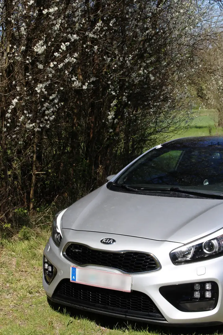 Kia ProCeed / pro_cee'd pro cee'd 1,6 TGDI GT GT Silber - 1