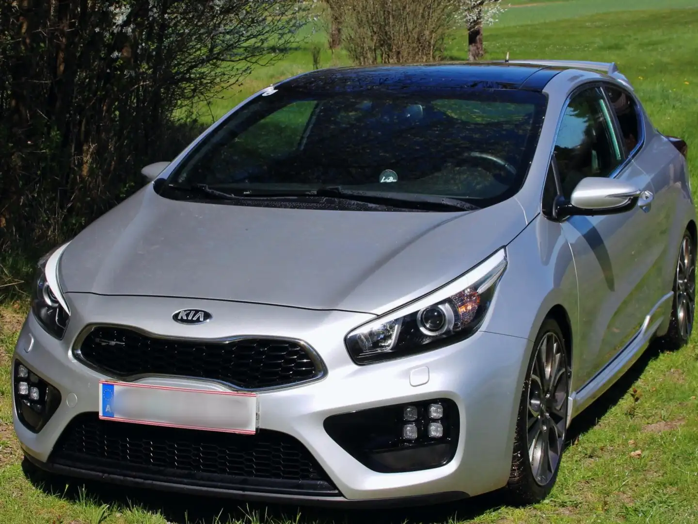 Kia ProCeed / pro_cee'd pro cee'd 1,6 TGDI GT GT Silber - 2