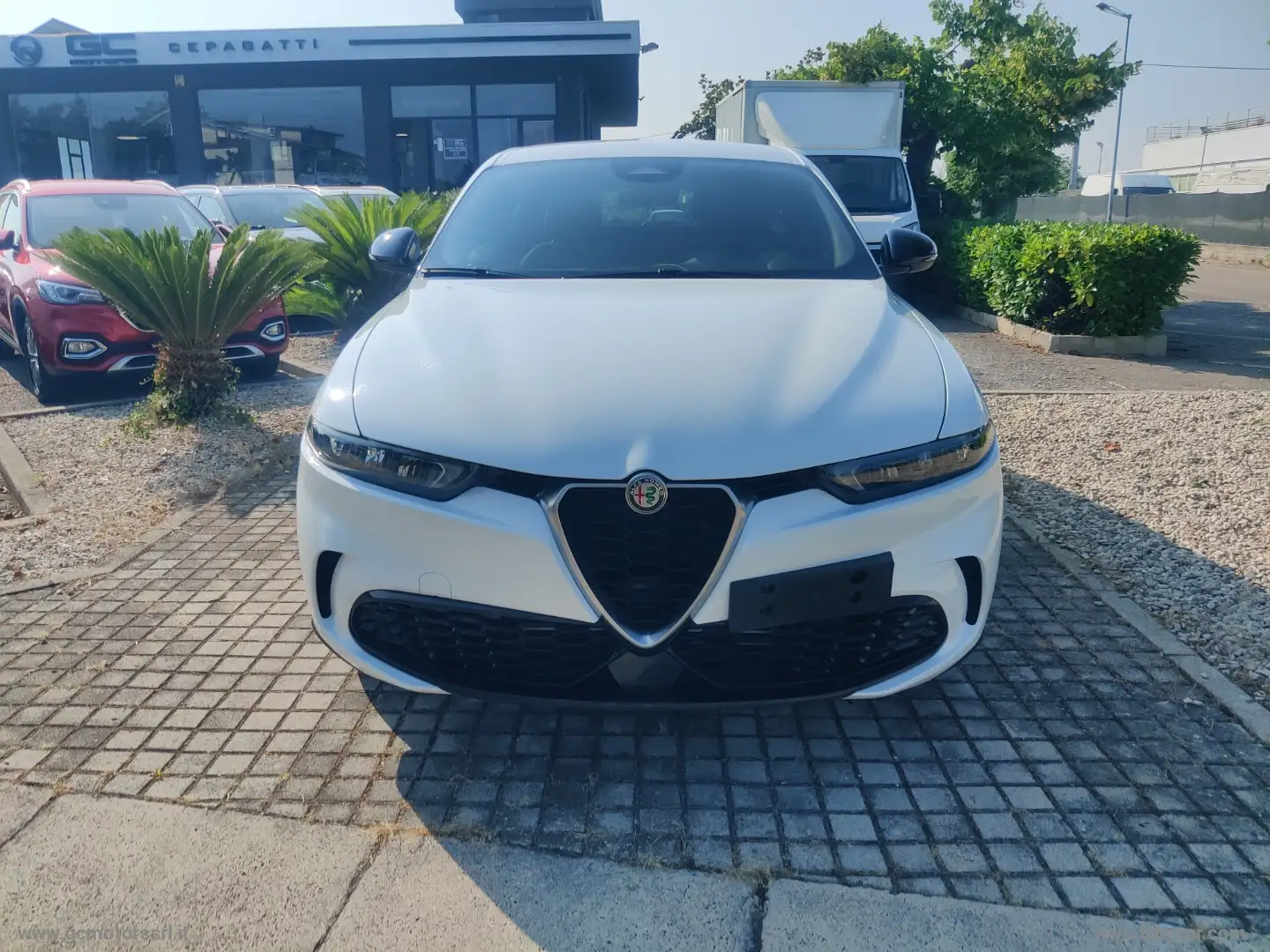 Alfa Romeo Tonale 1.6 diesel 130 CV TCT6 Super Wit - 2