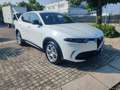 Alfa Romeo Tonale 1.6 diesel 130 CV TCT6 Super Blanco - thumbnail 3