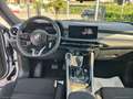 Alfa Romeo Tonale 1.6 diesel 130 CV TCT6 Super Blanco - thumbnail 15